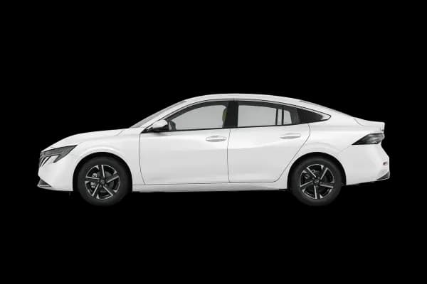 Sylphy