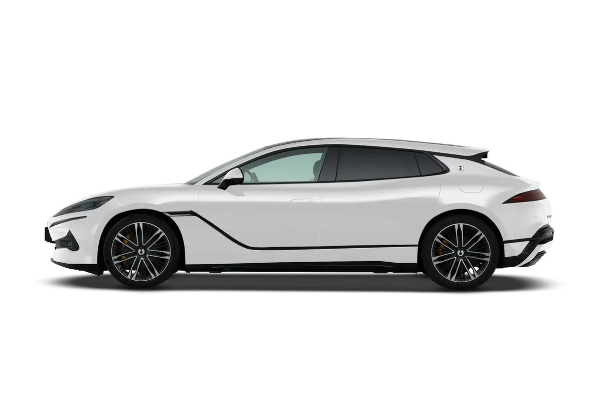 Z9GT DM