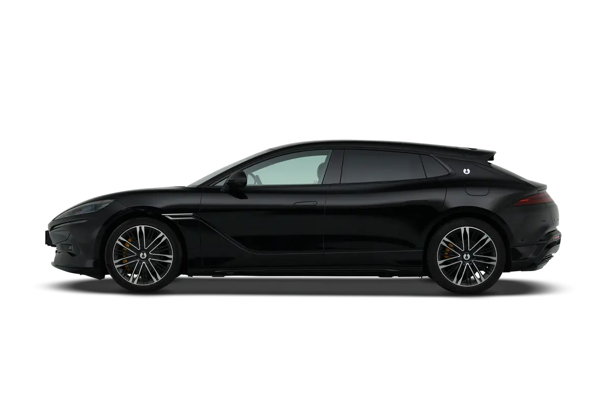 Z9GT DM