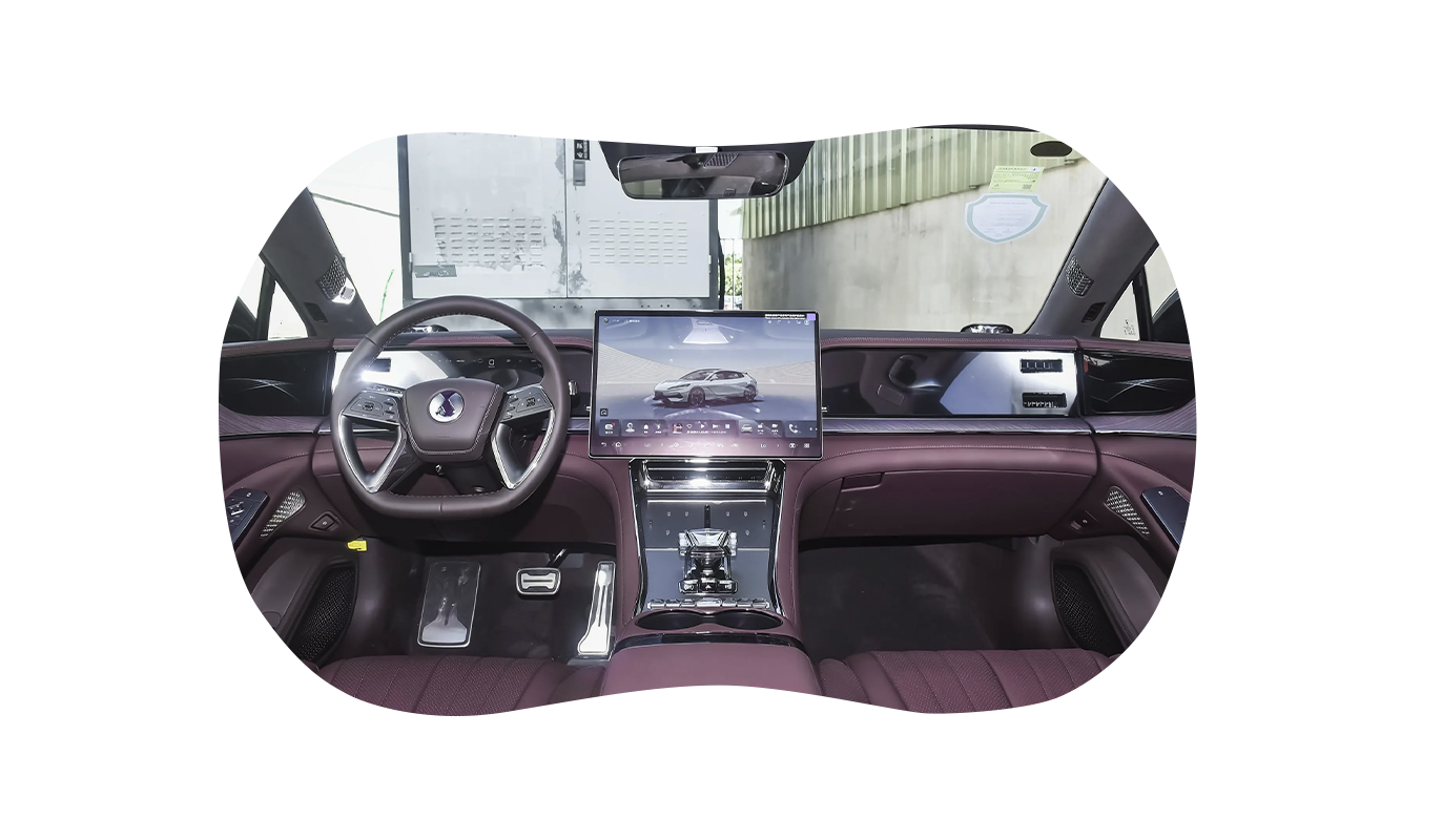 Z9GT DM