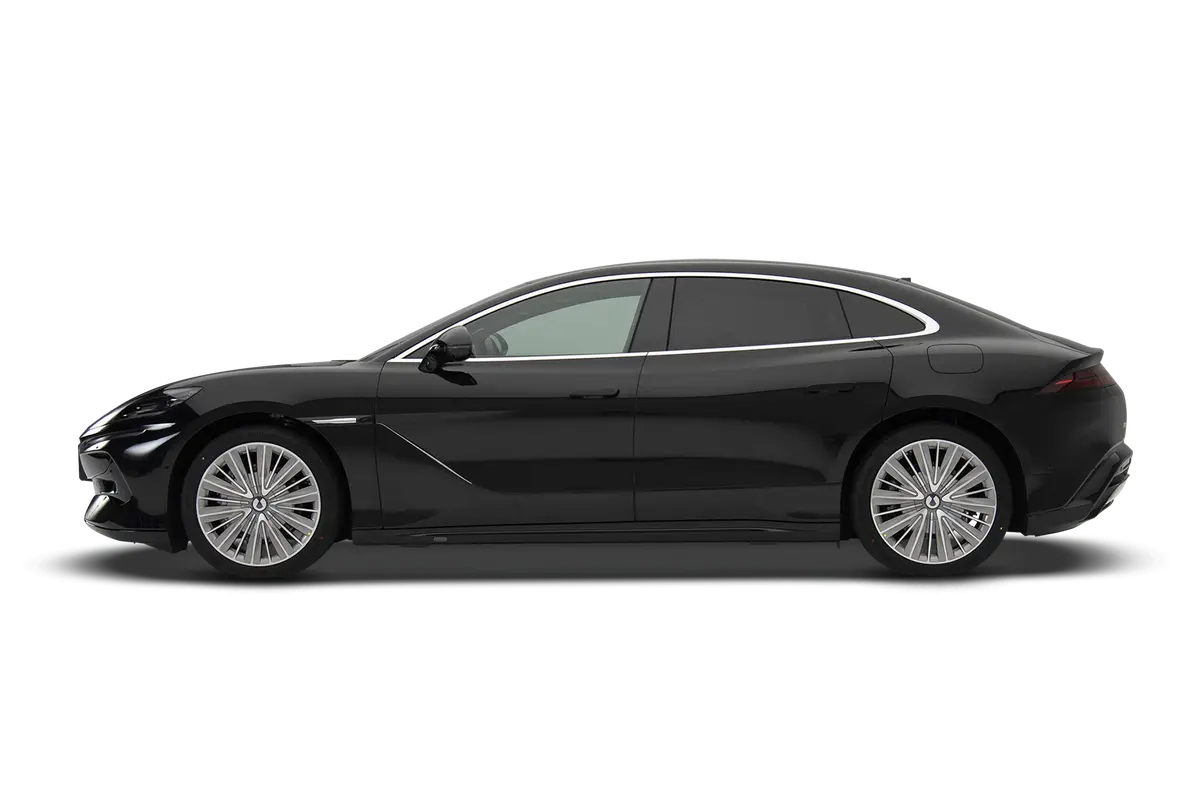 Z9 DM